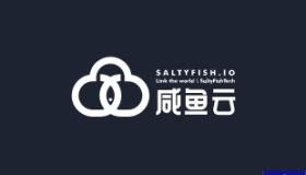 saltyfish|咸鱼云|德国9929|vps测评|季付18刀|500Mbps带宽|解锁奈飞|AMD